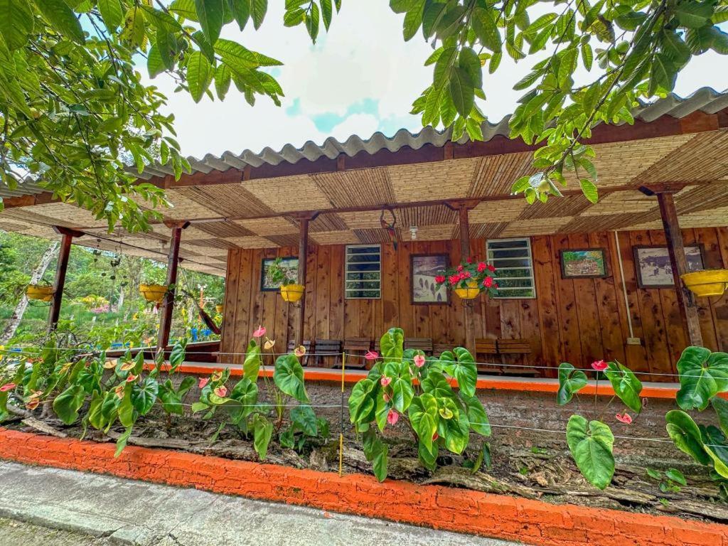 Natalia -salento Quindio Lodge Salento