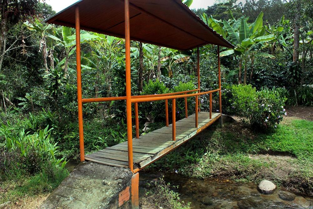 Natalia -salento Quindio