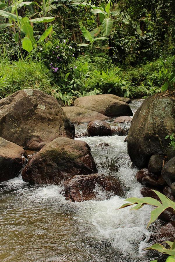 Natalia -salento Quindio *